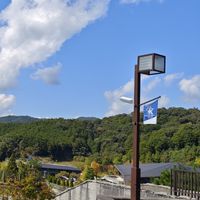 京都産業大学(2024新入生)