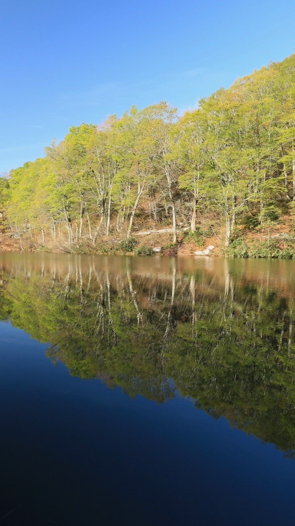 小谷村複合拠点施設　おたり つぐら