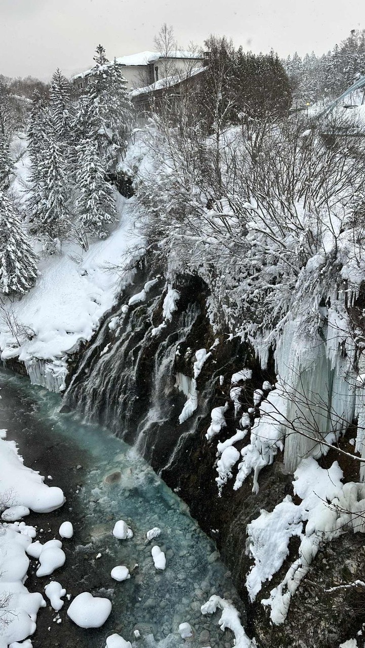 ญี่ปุ่น21-30 มกรา