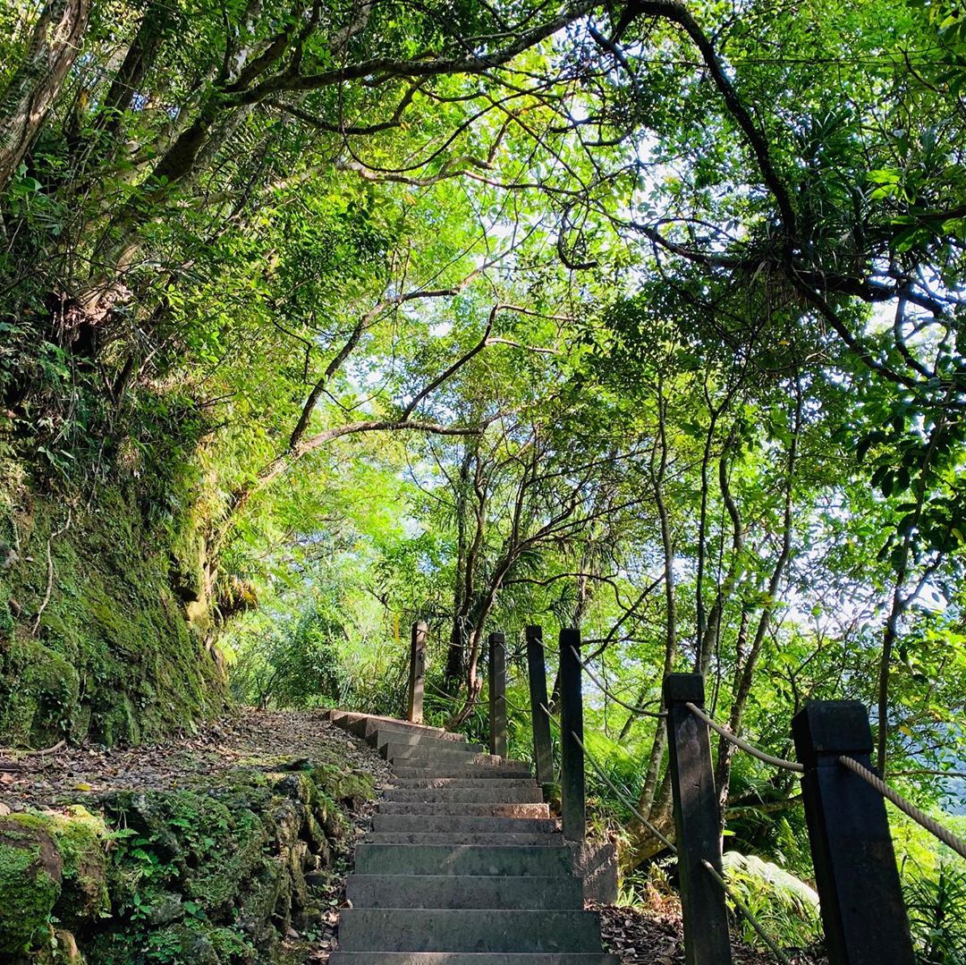 ９條不能錯過的新北網美登山步道｜跟著網紅走進新北登山步道！
