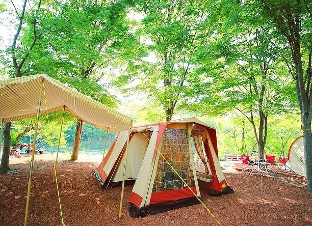 秩父の子連れで楽しめるキャンプ場7選 清潔 温泉併設 川遊び いこーよ