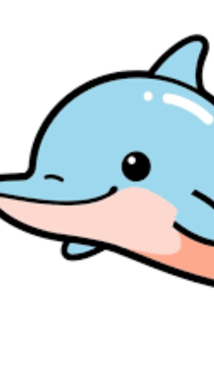 海豚班