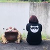東京薬科大学やきものくらぶ🍵