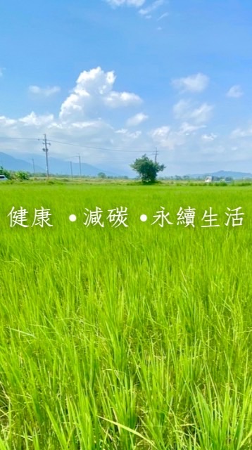 永約好日子團 🌾