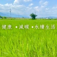 永約好日子團 🌾