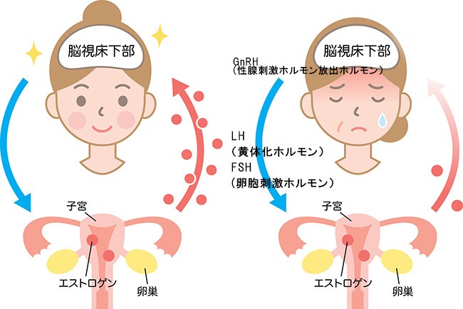 難読漢字 強か の読み方は つよか じゃない