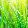 竹中 107 大家庭公佈欄