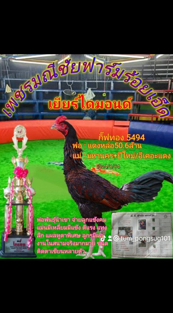 เพชรมณีชัยฟาร์มร้อยเอ็ด