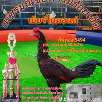 เพชรมณีชัยฟาร์มร้อยเอ็ด