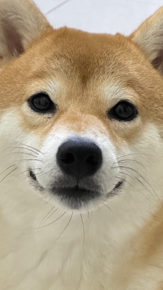 寵愛一生pets store🐶🐱