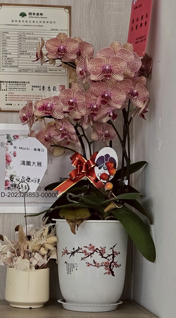 料理組