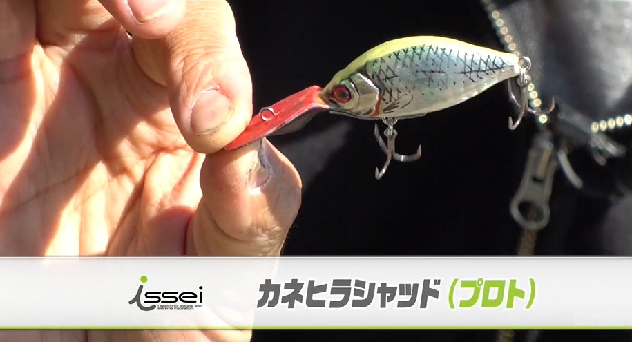 ノリーズ　ツネキチ　ティムコ等　クランク　シャッド　ミノー　大量セット 香西釣具店 ｜ バス