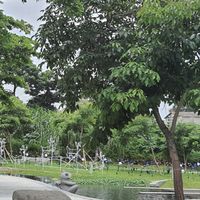 113新手提問區