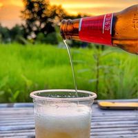 🏠เมรีขี้เมา🍺