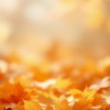 芸能人と恋愛〜貴方と恋に落ちたい〜