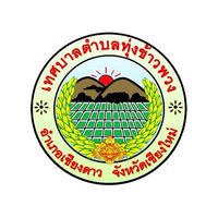 เคลื่อนที่เร็ว ทต.ทุ่งข้าวพวง