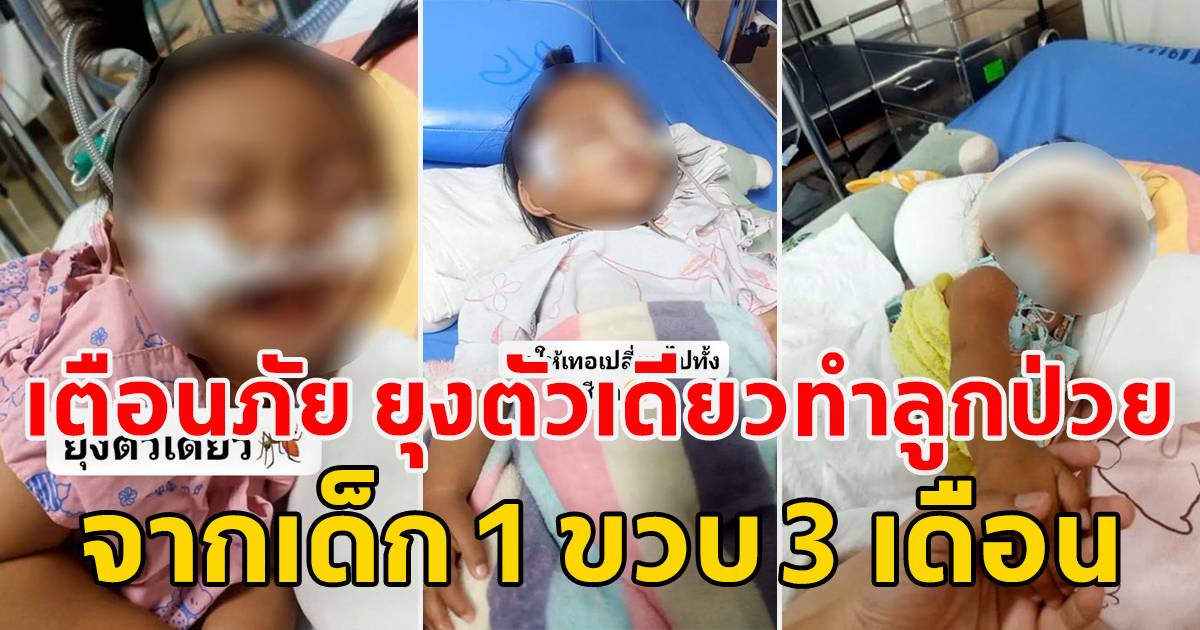 An example: A single mosquito can make a child sick. From a 1 year and 3 month old child to a 2 month old child | Siam News