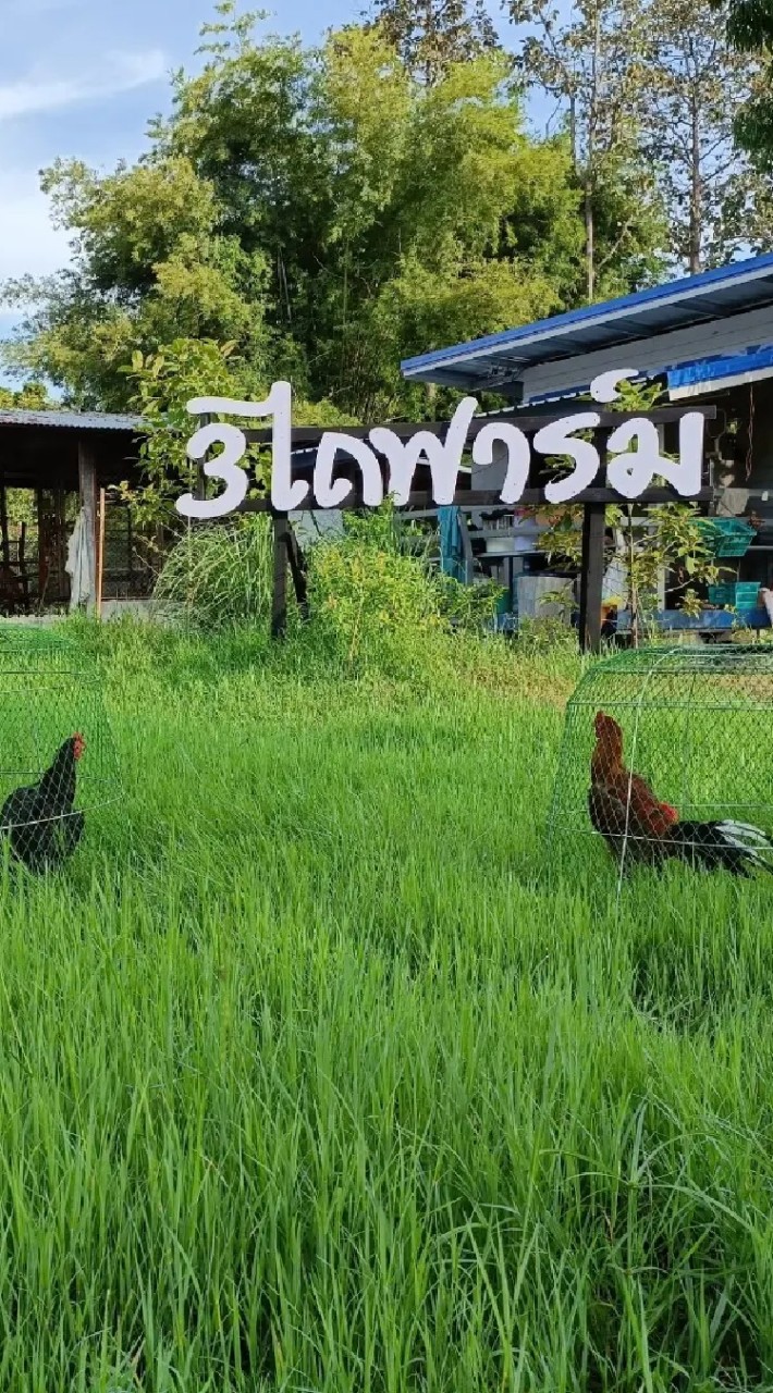สามไถฟาร์ม