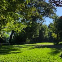 Tilag提菈格