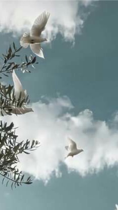 𝙰𝚝𝚝𝚊𝚌𝚔 𝚘𝚗 𝚃𝚒𝚝𝚊𝚗🕊
