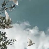 𝙰𝚝𝚝𝚊𝚌𝚔 𝚘𝚗 𝚃𝚒𝚝𝚊𝚗🕊