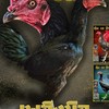 ซุ้ม Setthawut farm ไก่ชนคนล่าฝัน