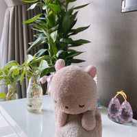 瞇瞇熊