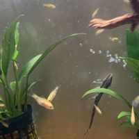 雲嘉漁友