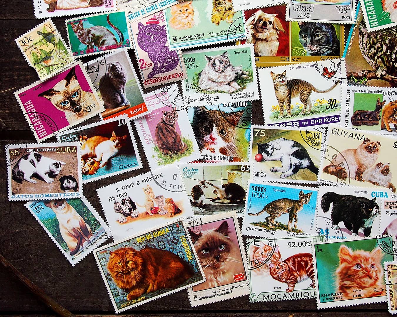 THINGS ‘N’ THANKS_貓郵票2