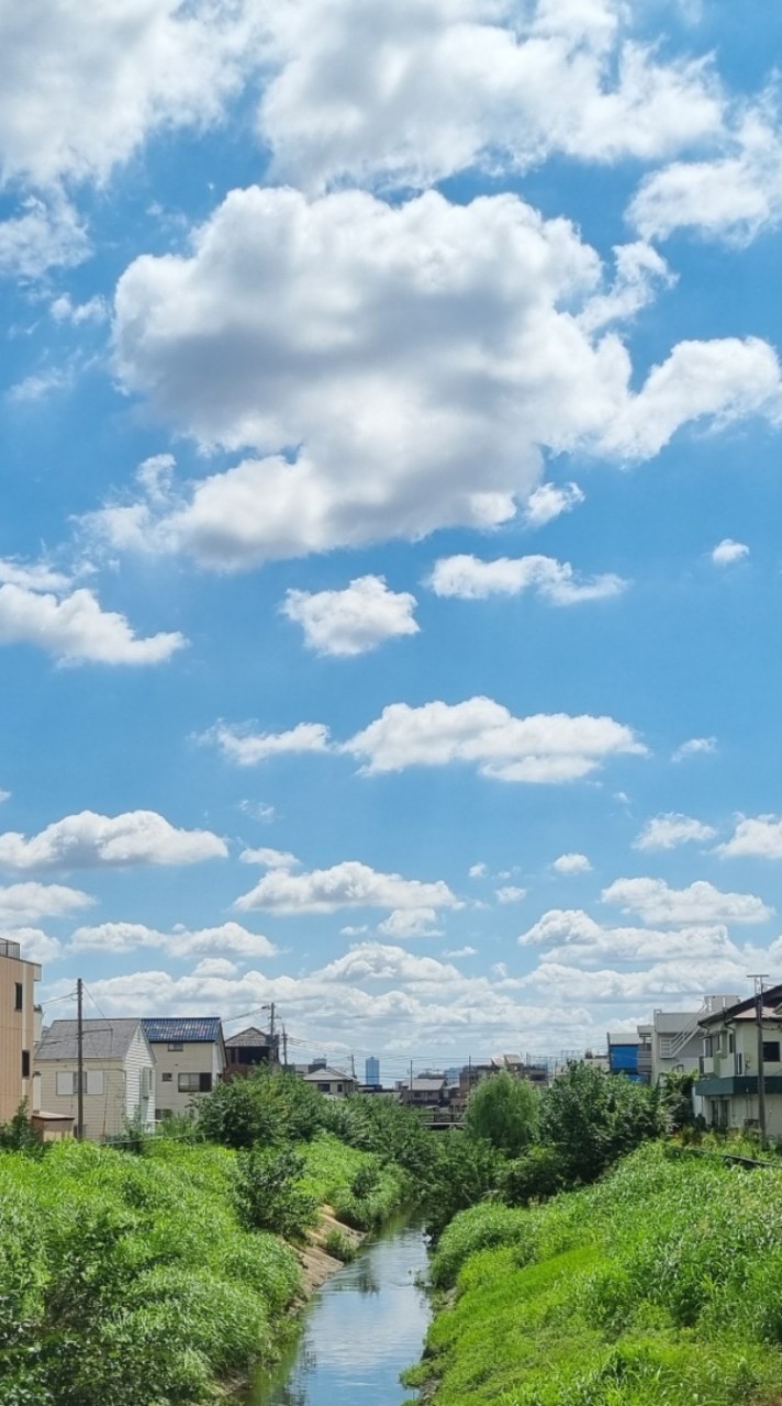 日本で住んでいる韓国人です