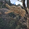 富士山🗻と不二阿祖山太神宮⛩️ファン