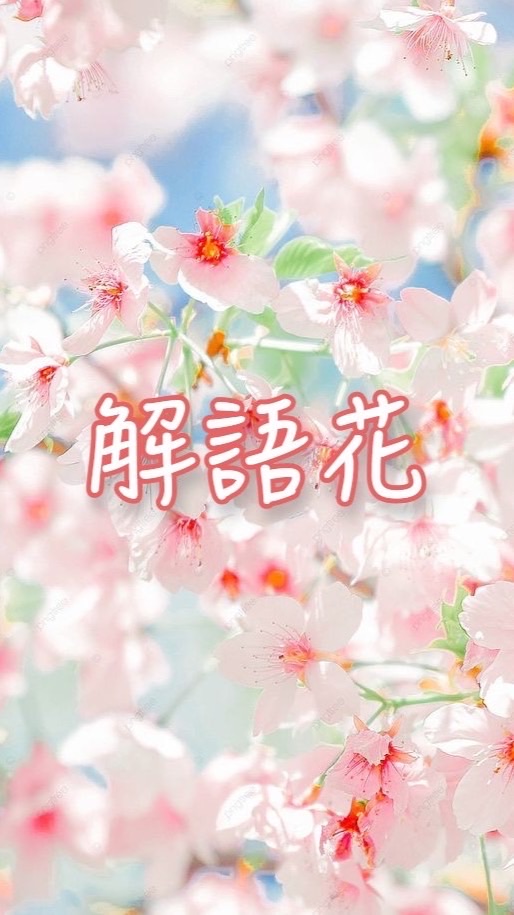 解語花