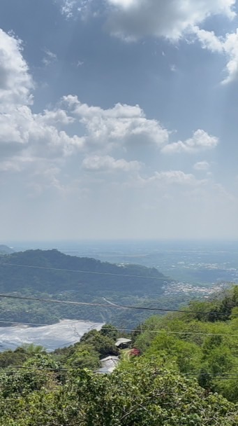 蔡順家族