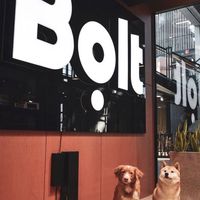Bolt司機交流分享&幫助(非官方)