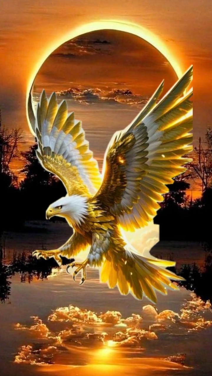 ผู้ปกครองสีเหลือง 🦅
