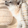 シニアワンコと穏やかに過ごすお部屋🐕