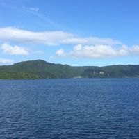 共度魚生