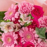 🌷【兵庫県南西部】40代〜雑談部屋🌷