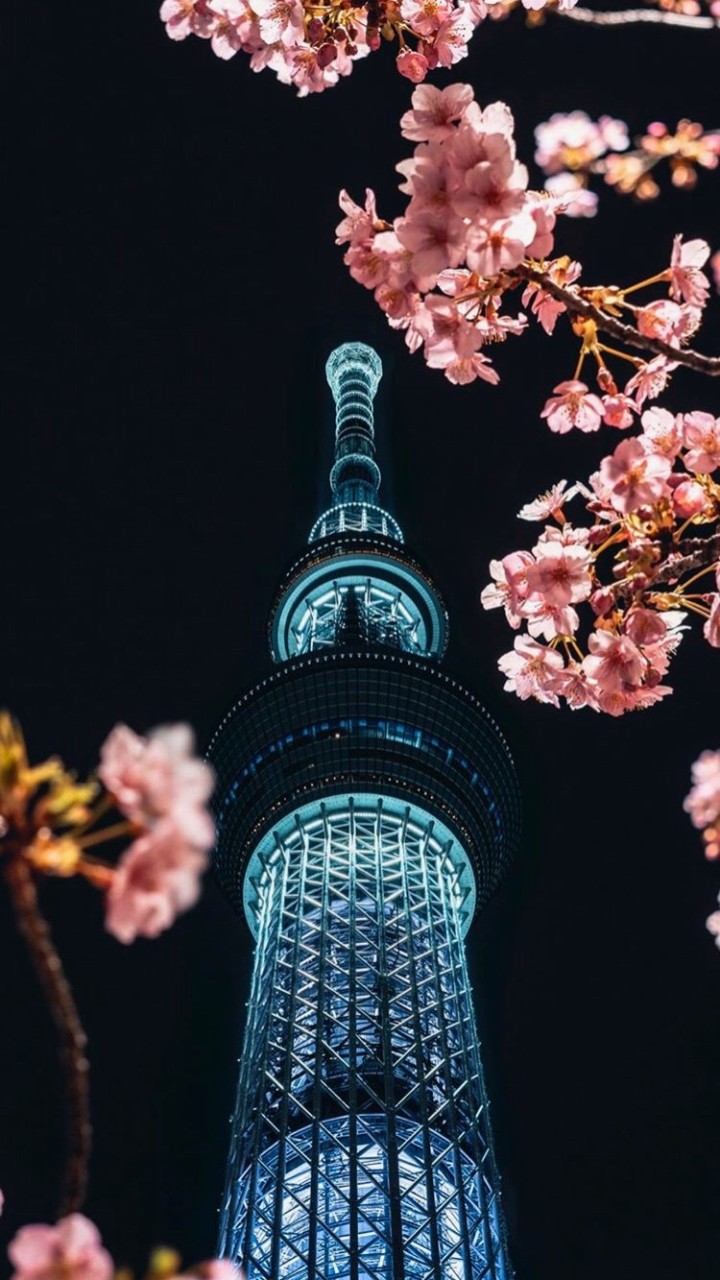 Tokyo creator