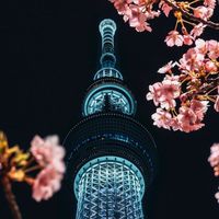 Tokyo creator
