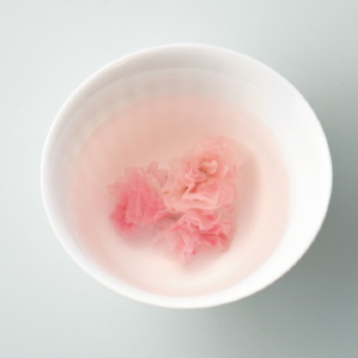 日本賞櫻野餐攻略