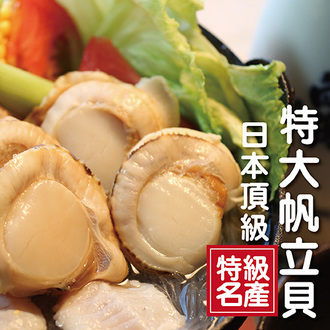 ☆日本頂級特大帆立貝M-5顆☆感謝電視媒體推薦 /北海道原裝進口/扇貝/干貝【陸霸王】
