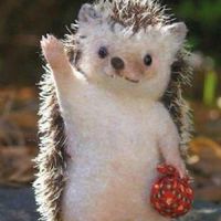 🦔刺蝟碎碎唸📢