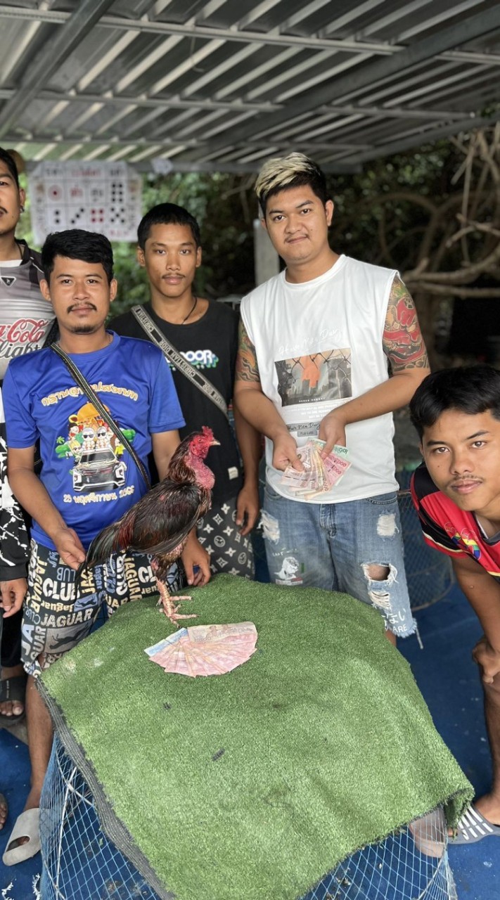 ซุ้ม  ส.ศิริภาพร ฟาร์มไก่ชน