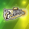 阪神タイガースfanの集い