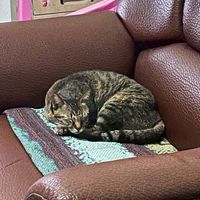 小花園研發課