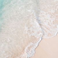 【歌い手事務所】Dreamin' on