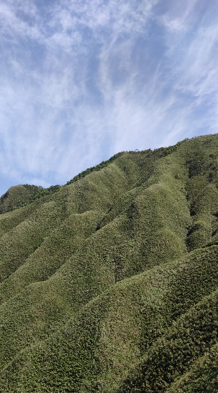綠能登山隊