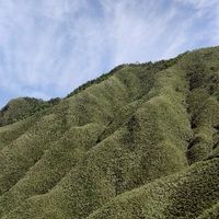 綠能登山隊
