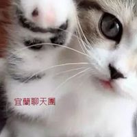 宜蘭聊天室